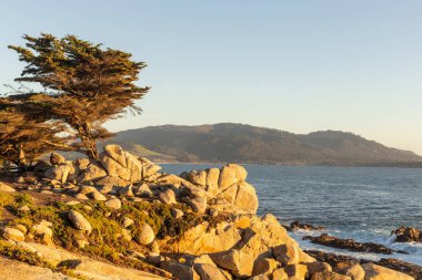 Güzel deniz manzarası