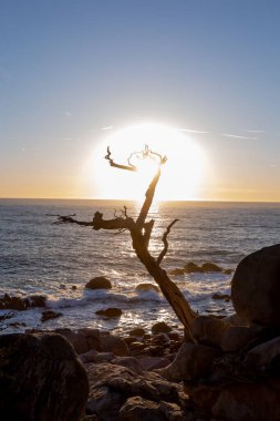 Kumsalda sırt çantalı bir adamın silueti.