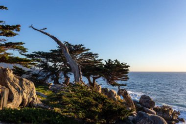 Güzel deniz manzarası