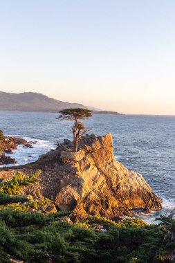 Deniz kıyısının güzel manzarası