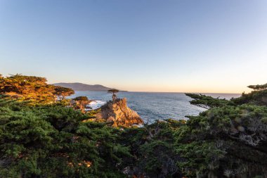 Deniz kıyısının güzel manzarası