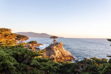 Deniz kıyısının güzel manzarası