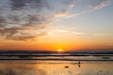 Denizin üzerinde güzel bir gün batımı