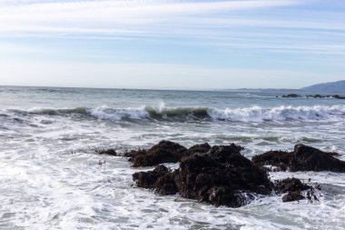 Sahildeki çakıl taşlarının arka planı