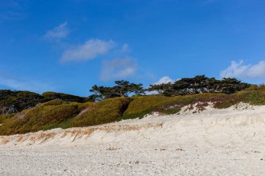Deniz ve mavi gökyüzü olan güzel sahil