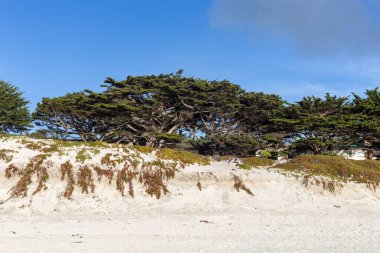 Deniz kıyısının güzel manzarası