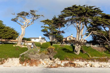 Deniz kıyısının güzel manzarası