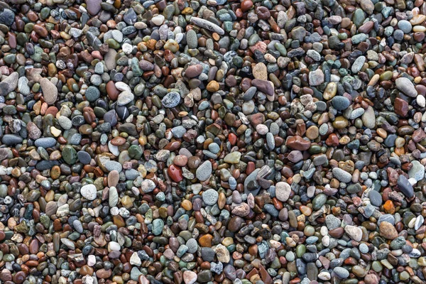 Pebble Beach Stones Pebbles Rocks Sea Sand Stone White Gray — Stock Photo, Image