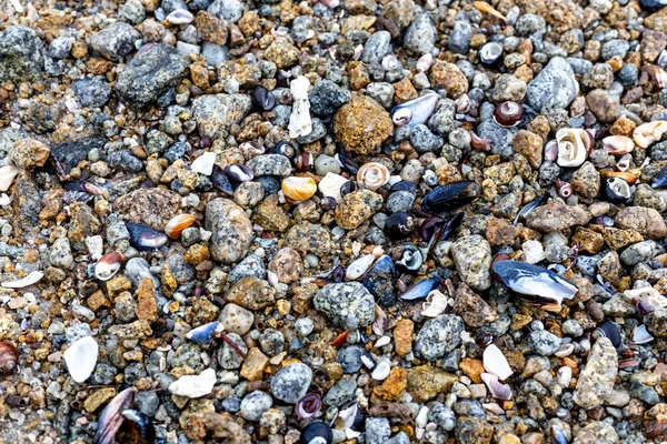 Sea Stones Beach — Stock Photo, Image