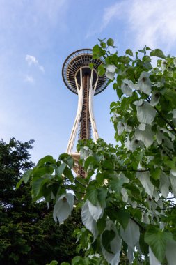 Seattle şehri manzarası