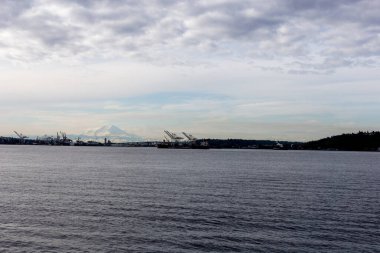 Seattle 'daki Reiner Dağı' na bak