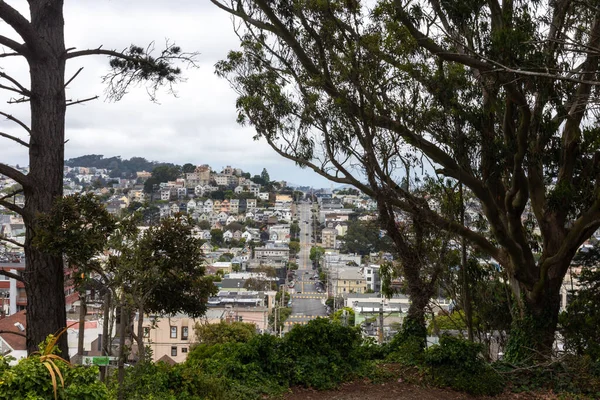 San Francisco Usa View San Francisco City Top Hill — Stock Photo, Image