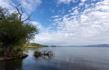 Güzel göl manzarası