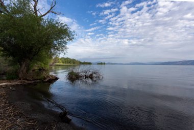 Net bir suyun önündeki ağaçlarla göl, gökyüzünde bulutlar, arka planda