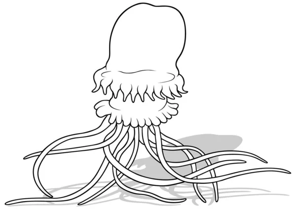 触手の長い大きなクラゲのドローイング 漫画イラストIsolated White Background Vector — ストックベクタ