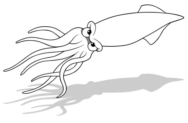 Desenho Uma Lula Rabugenta Com Tentáculos Longos Ilustração Dos Desenhos — Vetor de Stock