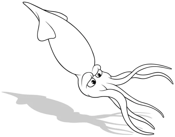 Рисование Плавающего Кальмара Карикатура Иллюстрация Изолирована Белом Фоне Вектор — стоковый вектор