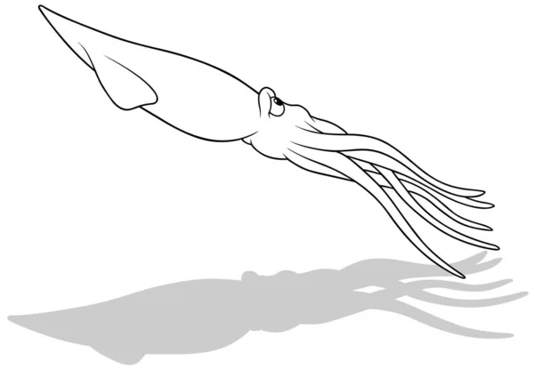 Rysunek Pływającej Kałamarnicy Widoku Boku Ilustracja Kreskówek Izolowanych Białym Tle — Wektor stockowy