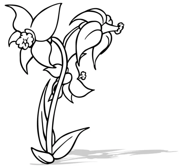 ダフォディルスの三つの花のドローイング 漫画イラストIsolated White Background Vector — ストックベクタ