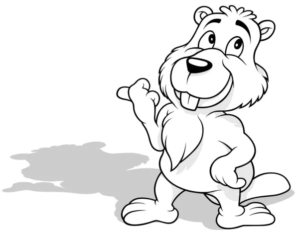 Kresba Bobra Směřujícího Doprava Tlapkou Cartoon Illustration Izolovaný Bílém Pozadí — Stockový vektor