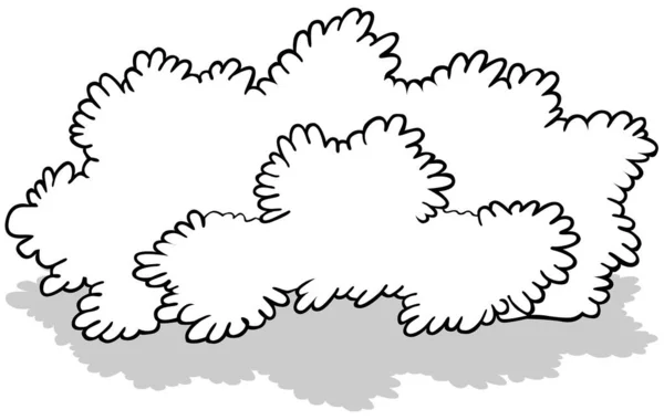 Disegno Ampio Bush Illustrazione Del Fumetto Isolato Sfondo Bianco Vettore — Vettoriale Stock