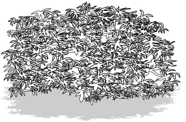 Kresba Husté Tropické Bush Cartoon Illustration Izolované Bílém Pozadí Vektor — Stockový vektor