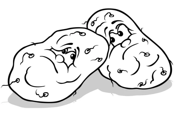 Ritning Två Grumpy Potatis Tecknad Illustration Isolerad Vit Bakgrund Vektor — Stock vektor