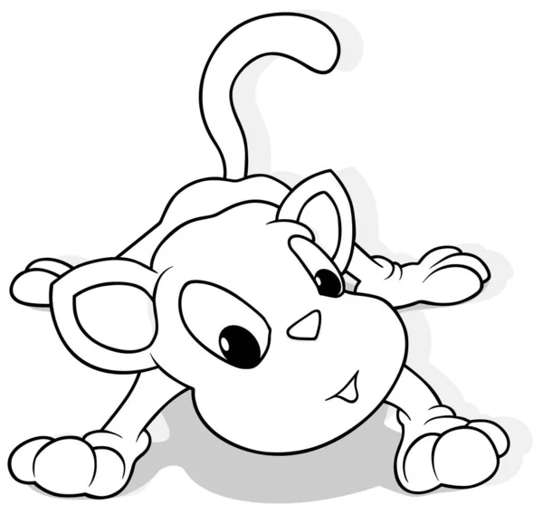 Kresba Kitty Všech Čtyřech Tlapkách Pohledu Zepředu Cartoon Illustration Izolovaný — Stockový vektor