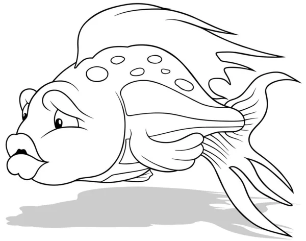 Büyük Dudaklı Güzel Balığın Çizimi Beyaz Arkaplanda Zole Edilen Çizgi — Stok Vektör