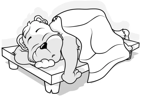 Dibujo Oso Del Bosque Durmiendo Una Cama Madera Roble Ilustración — Vector de stock