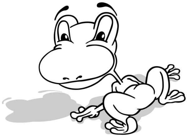 後ろから見た座りカエルのドローイング 漫画イラストIsolated White Background Vector — ストックベクタ