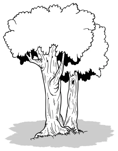 Kresba Dvou Opadavých Stromů Kreslené Ilustrace Izolované Bílém Pozadí Vektor — Stockový vektor