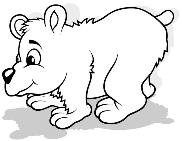 Zeichnung Eines Teddybären Aus Der Seitenansicht Cartoon Illustration Auf Weißem — Stockvektor