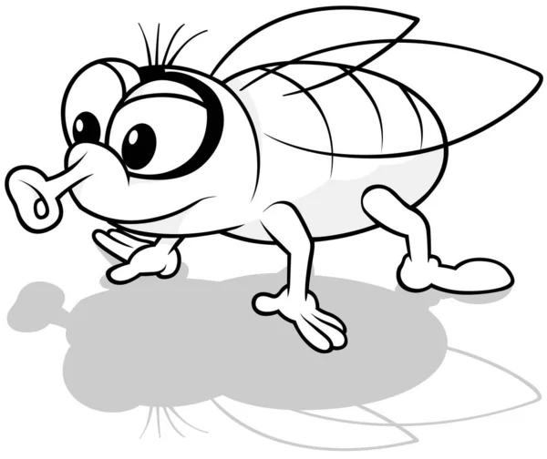 Drawing Housefly All Four Limbs Cartoon Illustration Isolated White Background — 스톡 벡터