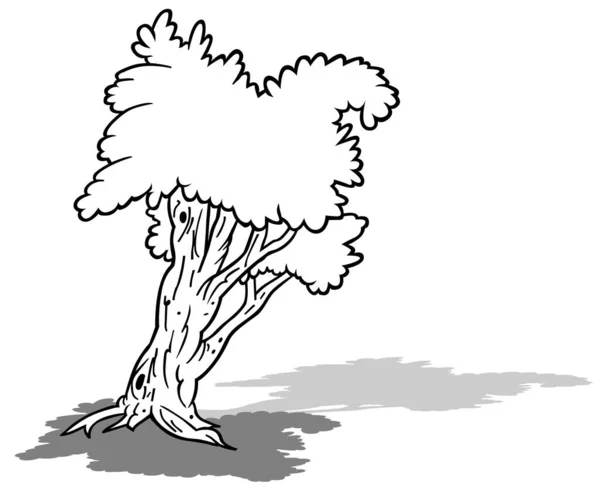 Ritning Ett Lövträd Med Två Trädtoppar Tecknad Illustration Isolerad Vit — Stock vektor