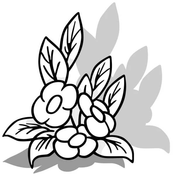 Rysunek Rośliny Trzema Kwiatami Liśćmi Ilustracja Rysunkowa Izolowana Białym Tle — Wektor stockowy