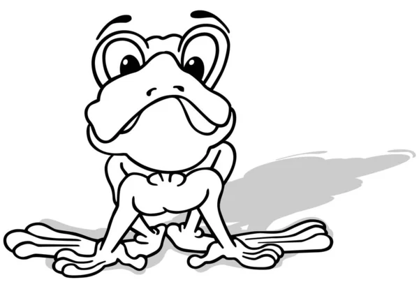 Drawing Surprise Frog Front View Cartoon Illustration Isolated White Background — 스톡 벡터