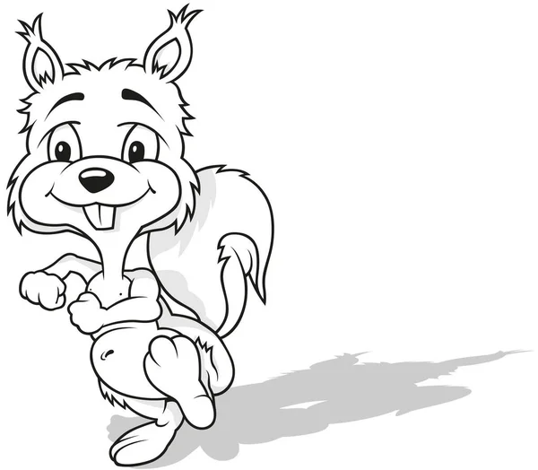 Rysunek Cute Marching Squirrel Ilustracja Kreskówki Izolowane Białym Tle Wektor — Wektor stockowy