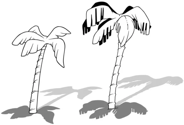Drawing Two Coconut Palm Trees Cartoon Illustration Isolated White Background — 스톡 벡터