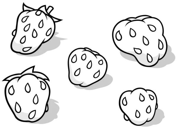 Dibujo Cinco Fresas Con Semillas Ilustración Dibujos Animados Aislados Sobre — Vector de stock