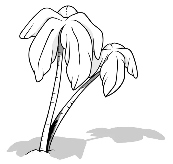 地面にドロップシャドウを持つ2つのココナッツパームの描画 漫画のイラスト白の背景に隔離された ベクトル — ストックベクタ
