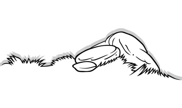 Disegno Erba Con Pietre Illustrazione Del Fumetto Isolato Sfondo Bianco — Vettoriale Stock