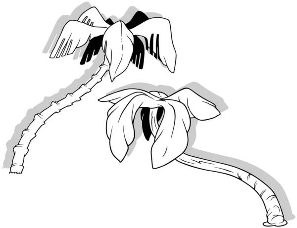 Zeichnung Von Zwei Tropischen Palmen Cartoon Illustration Auf Weißem Hintergrund — Stockvektor