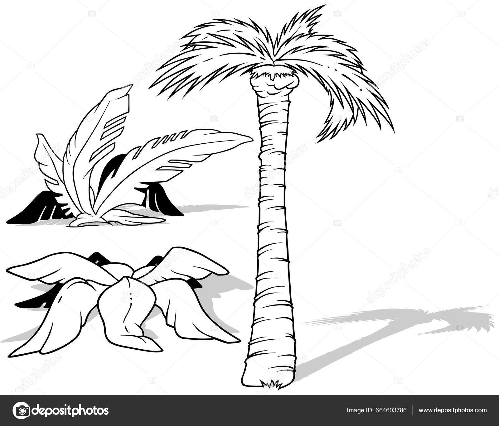 Desenho Três Palmeiras Tropicais Ilustração Dos Desenhos Animados