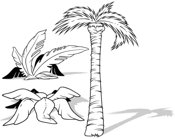 Rysunek Trzech Tropikalnych Palm Ilustracja Kreskówki Izolowana Białym Tle Wektor — Wektor stockowy
