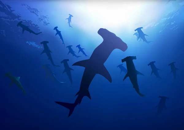 Derin Mavi Deniz Deki Çekiç Başlı Köpekbalıkları Renkli Resimler Vektör — Stok Vektör