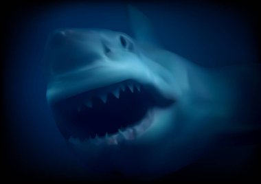 Derin Mavi Deniz 'de Korkunç Çeneli Büyük Beyaz Köpekbalığı Renkli ve Detaylı Çizim, Vektör