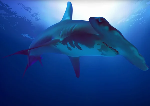 Tiburón Martillo Océano Azul Profundo Ilustración Detallada Coloreada Vector — Vector de stock