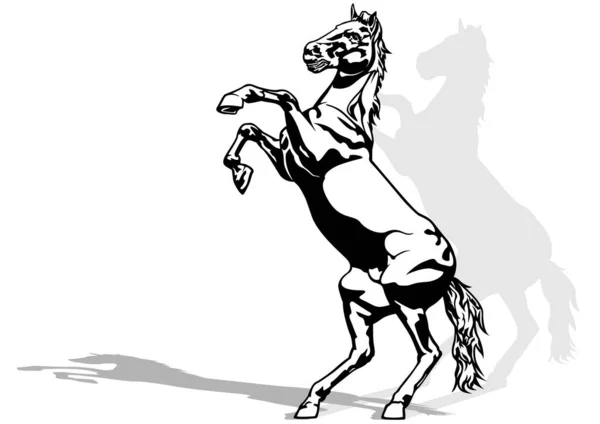 Tekening Van Rijzend Paard Een Achterpoot Zwarte Afbeelding Geïsoleerd Witte — Stockvector