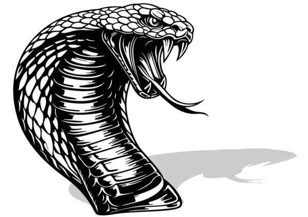 Piirustus Intian Cobra Pään Avoin Suu Myrkky Hampaat Musta Valkoinen tekijänoikeusvapait vektorikuvia